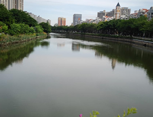 大良街道主河道保潔管理服務項目